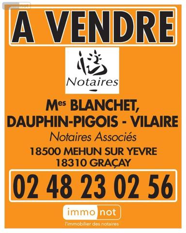 Achat - Terrain à bâtir Dampierre-en-Graçay 18310 2900 m 2 2900 m 2