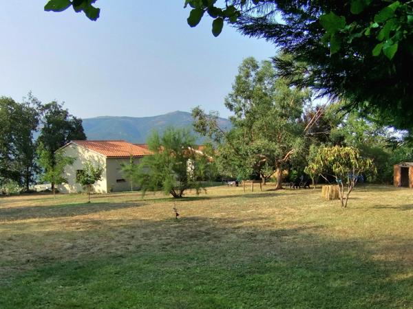 Maison à vendre 7 pièces PRADES (66)