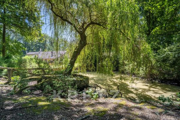Magny-les-Hameaux – Domaine de 1,6 hectare au cœur de la forêt