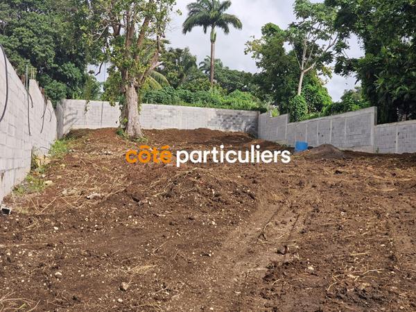 Vente Terrain500 m² - PETIT BOURG (97170)
