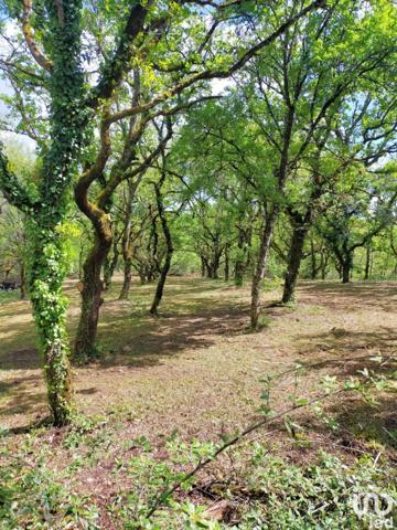 Camping à vendre 25 000 m² Souillac