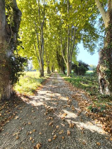 Maison de Maître en Provence