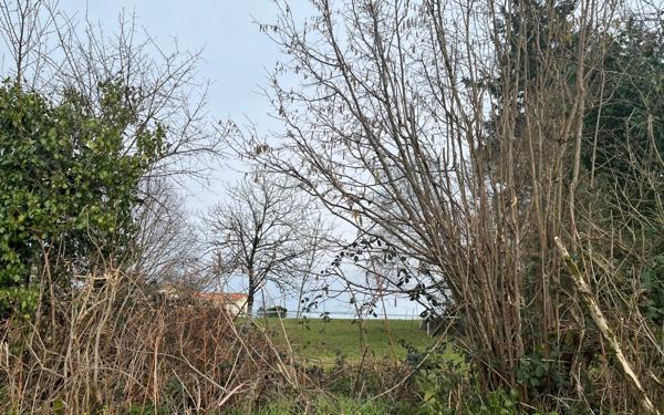 Terrain à vendre    Saint-Junien