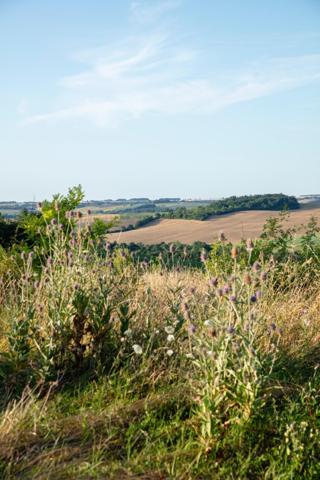 Superbe bâtisse, rénovation unique