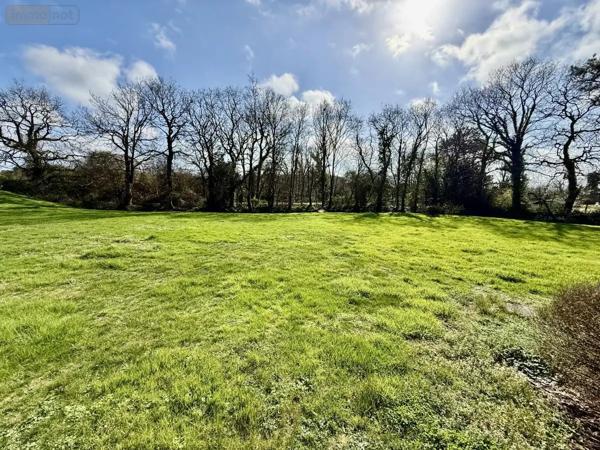 Achat - Maison Ploemel 56400 133 m 2 5101 m 2