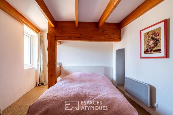 Mas en pierre du XVII° avec jardin