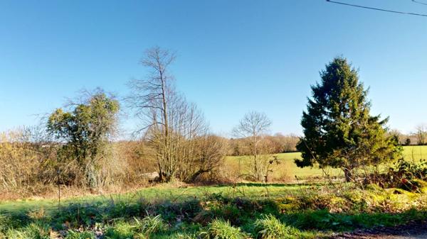 Maison + Hangar + Bâtisse à rénover + Dépendances sur 4 555 m² de terrain. (visite virtuelle disponible)