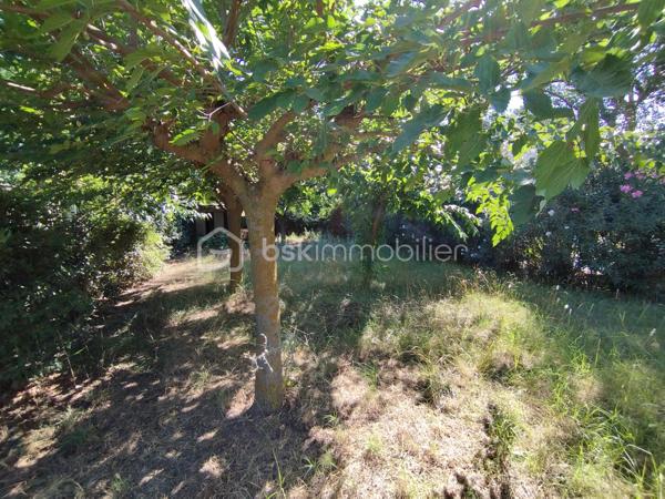 Terrain de loisirs de 365 m²