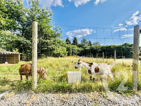 Maison à vendre  6 pièces - 128,12 m2 AMBAZAC - 87