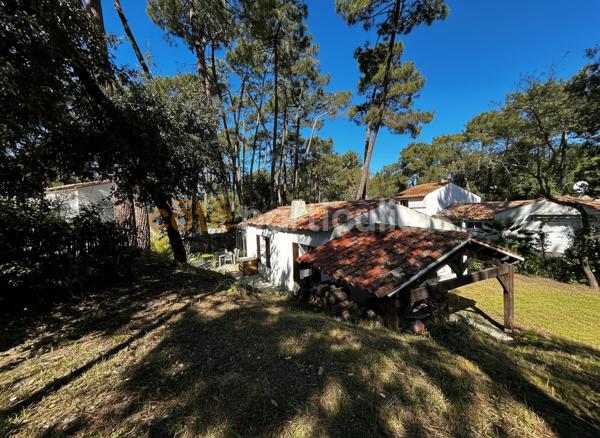 Vente
                Maison66 m² - 3 Pièces -
                    LA TREMBLADE (17390)