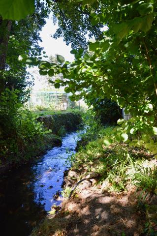 Villa 6 pièce(s) 4 chambre(s) 175 m²