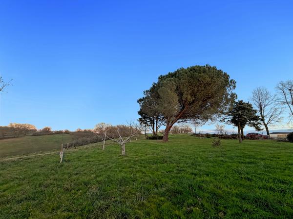 Maison à vendre 6 pièces LUPIAC (32) - 218 m2 - Terrain 2840 m2