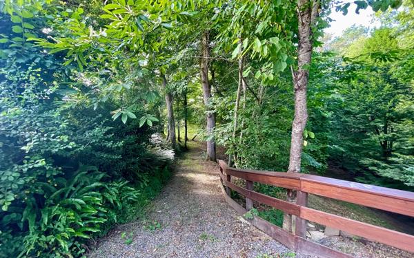 Maison à vendre    6 pièces •  Montfort-en-Chalosse