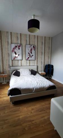 maison en pierres rénovée de 5 chambres avec garage et jardi
