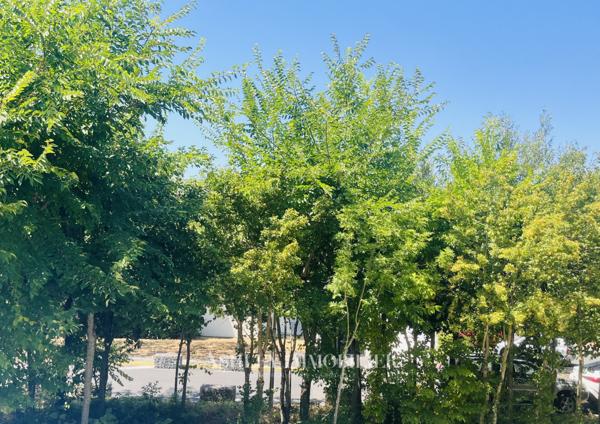 À VENDRE -  APPARTEMENT TYPE 1 Bis - LA ROCHELLE - SAINT-ÉLOI