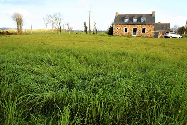 JOLIE MAISON EN PIERRE A RENOVER
