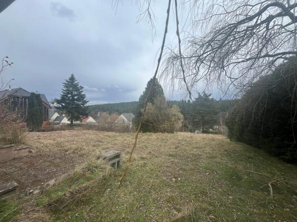 Terrain OBERHASLACH (67) Station verte