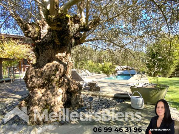 Maison pleine nature, une heure de Bordeaux, une heure d'Angoulême