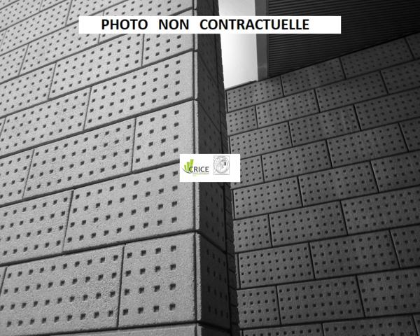 MURS COMMERCIAUX LIBRES