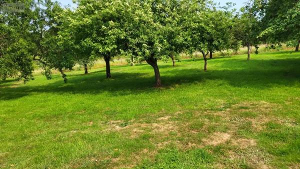 Achat - Maison Camembert 61120 6 pièces 170 m 2 5065 m 2
