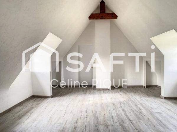 Maison de 9 pièces avec grand jardin, bois et rivière