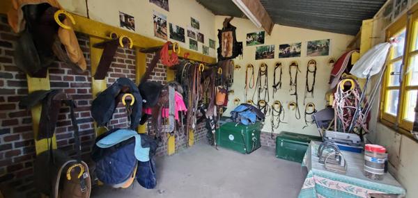 Bel ensemble équestre normand