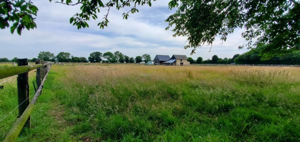 Bel ensemble équestre normand