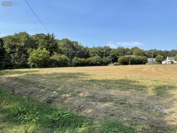 Terrain à Batir à vendre à Allaire dans le Morbihan (56350), ref : 119c