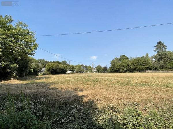 Terrain à Batir à vendre à Allaire dans le Morbihan (56350), ref : 119c