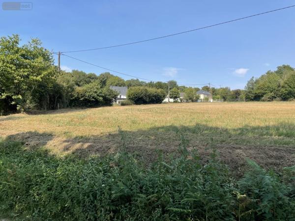 Terrain à Batir à vendre à Allaire dans le Morbihan (56350), ref : 119c