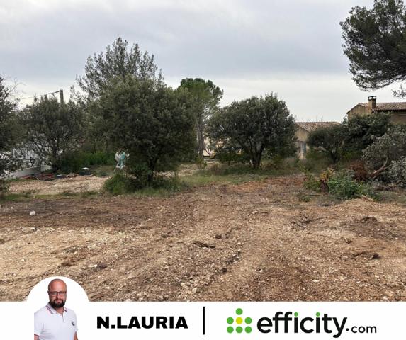 Terrain - 891 m²