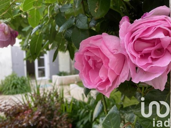 Maison à vendre 6 pièces 164 m² La Couarde-sur-Mer