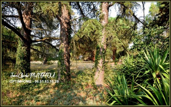 Fermette T6 136 m2 4 chambres dans un parc arboré d'un hectare