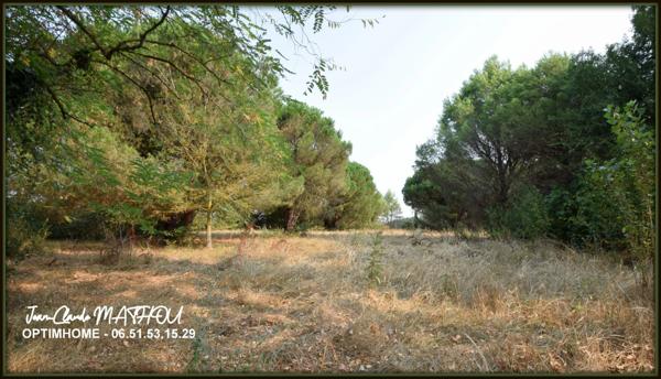 Fermette T6 136 m2 4 chambres dans un parc arboré d'un hectare