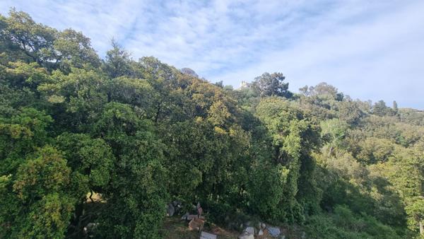 Appartement Bastia 2 pièce(s)