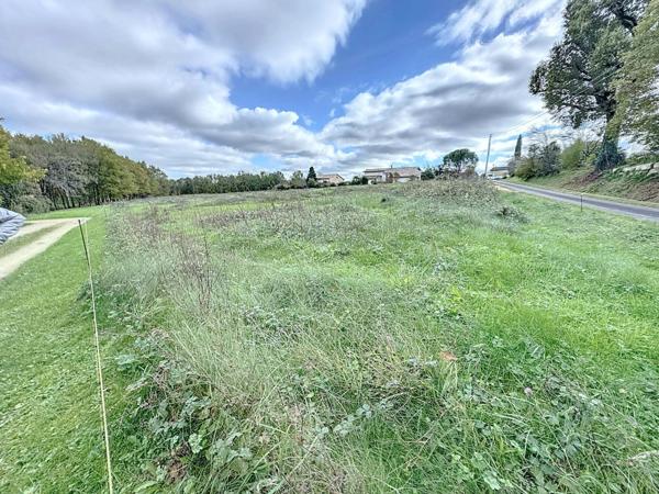 Superbe terrain sur les hauteurs de Montricoux
