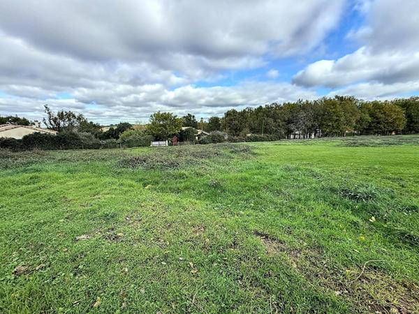Superbe terrain sur les hauteurs de Montricoux