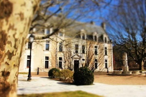 Propriete à vendre 50 pièces proche de AMBOISE (37)