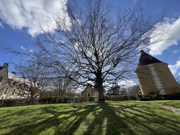 Propriete à vendre 50 pièces proche de AMBOISE (37)