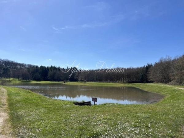 Propriete à vendre 50 pièces proche de AMBOISE (37)