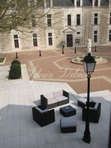 Propriete à vendre 50 pièces proche de AMBOISE (37)