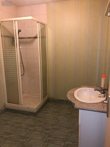 Immeuble de rapport à vendre à Issoudun dans l'Indre (36100), ref : 11813/1307