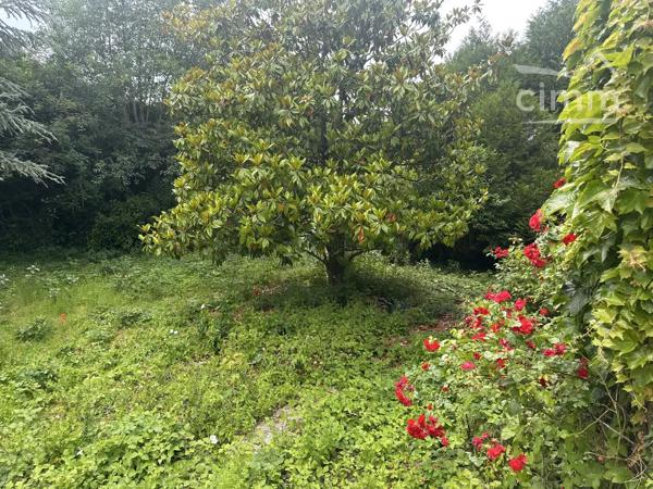 Maison individuelle avec sous-sol total, grand terrain et potentiel constructible – Dhuisy