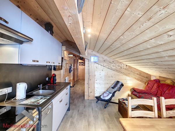 Unique pieds des pistes appartement T3