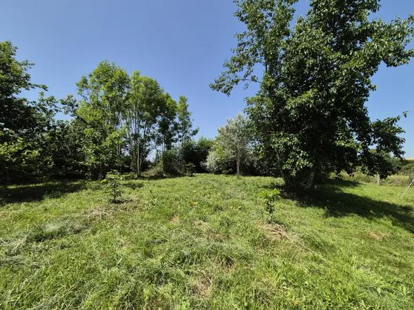 Charmante Maison Bretonne avec Jardin