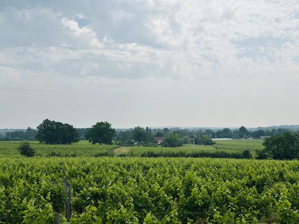 PROPRIETE 14 HECTARES - MAISON ET DEPENDANCES
