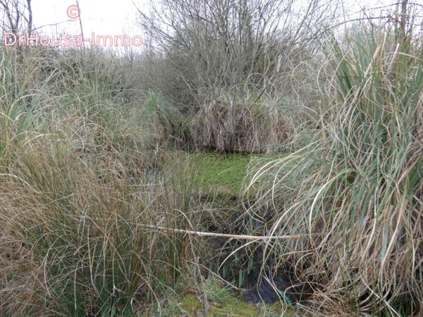 Terrain à vendre de 4 400 m²