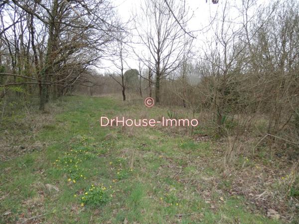 Terrain à vendre de 4 400 m²