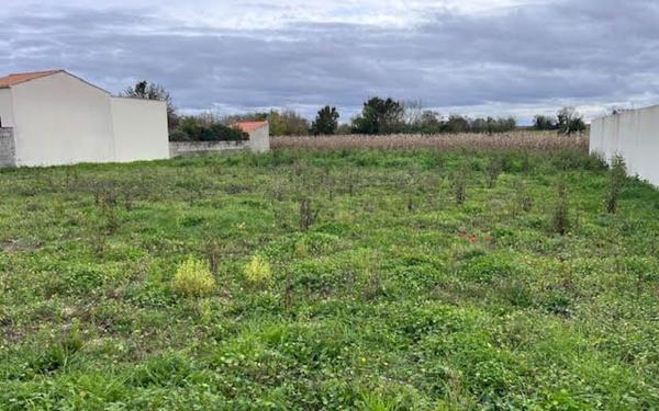 Terrain à vendre    Thairé