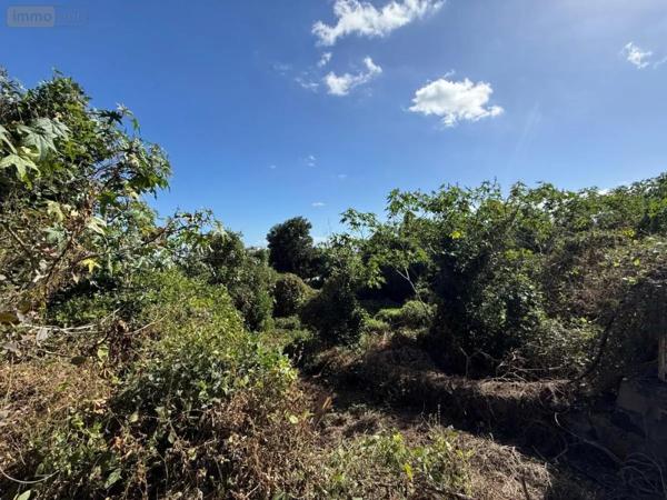 Achat - Terrain à bâtir Saint-Pierre 97250 515 m 2